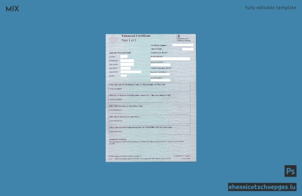 Beispiel für ein DBS-Zertifikat des britischen Disclosure and Barring Service (Vertragsführungs- und Barring-Service)